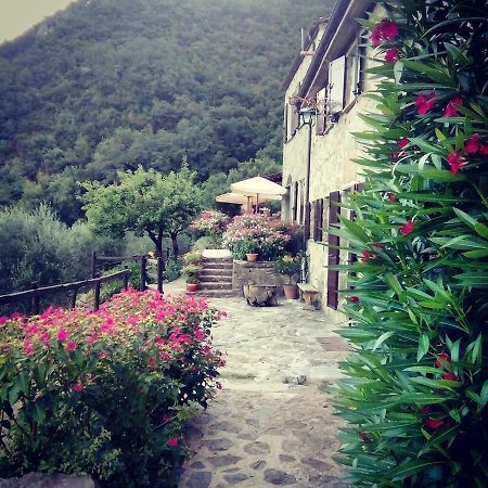 Farmhouse B&B Castagnola 64 ネー エクステリア 写真